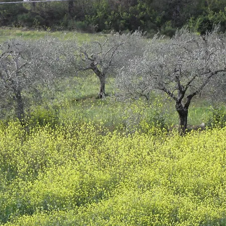 Casa de Férias Orvieto's Hideaway Borgo, Benano Orvieto